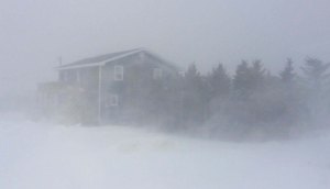 10901676_10152483538641735_955552959_o1