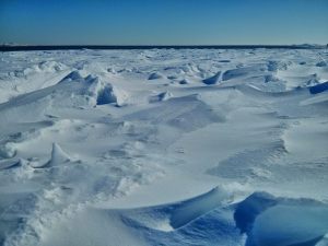 11025799_10152548739301735_2667466573000155001_n