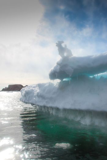 11174643_10155502284595515_8747537124710425147_o