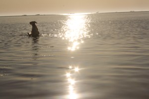 Crédit : Jean-Étienne Solomon