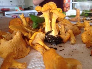 11870734_10155992572325515_4747791900349137995_n