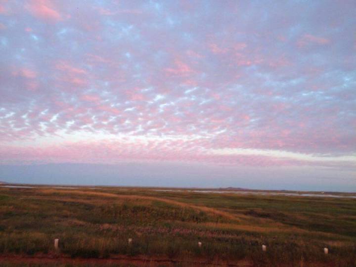 28906435_2019155431446939_1834165495_n