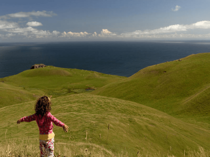 30118137_2052455798116902_376822788_n