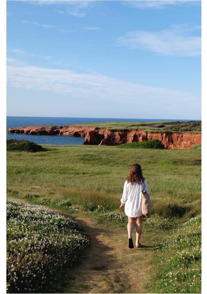 68602200_342672256642016_3119242843651047424_n